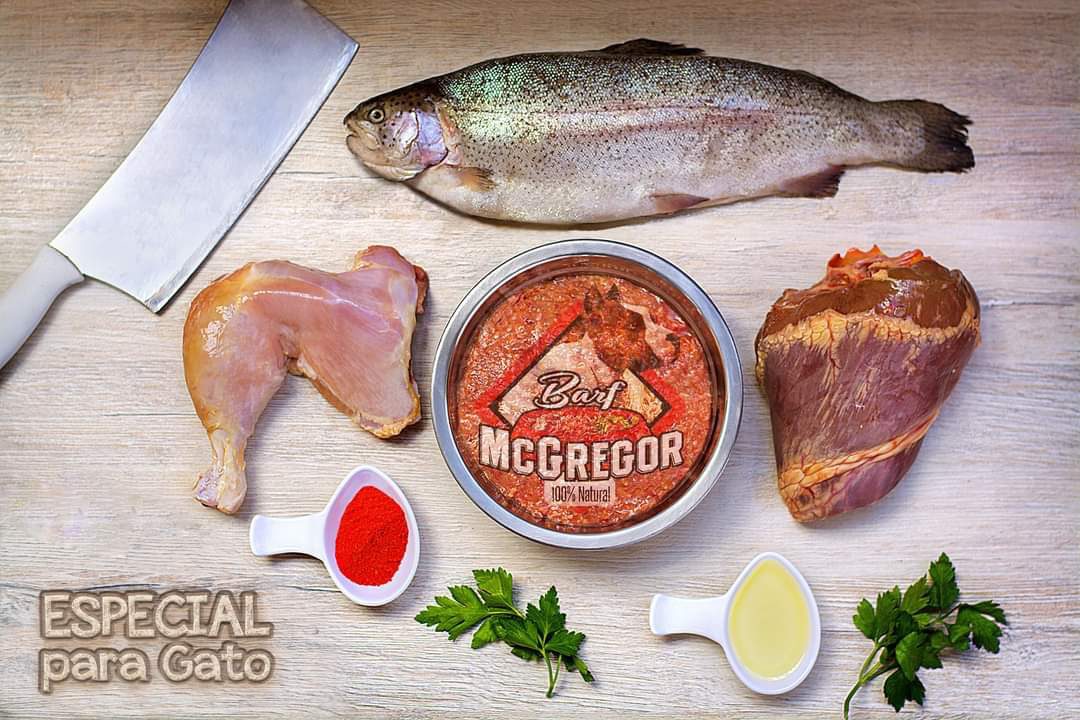 ESPECIAL PARA GATOS - Image 3